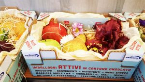 cartone