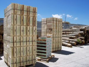 legno