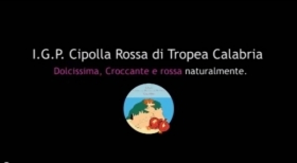Video per Fiera 2013
